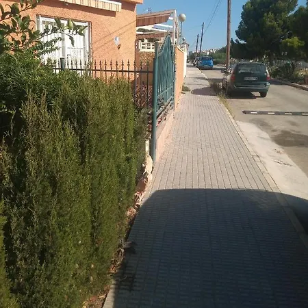 In La Zenia Urb. Chismosas/urb La Florida