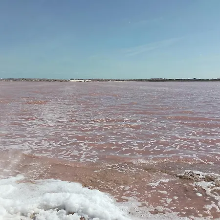منزل للإقامة In La Zenia Urb. Chismosas/urb La Florida *